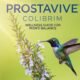 Prostavive Colibrim