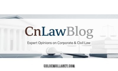 CnLawBlog