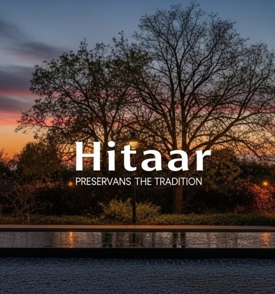 Hitaar