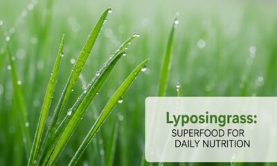 Fresh Lyposingrass leaves, a vibrant green superfood rich in vitamins and antioxidants