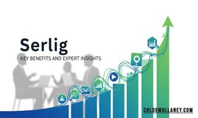 Serlig productivity platform dashboard interface